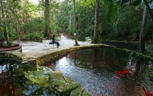 Amazon eco Park resort amazonie