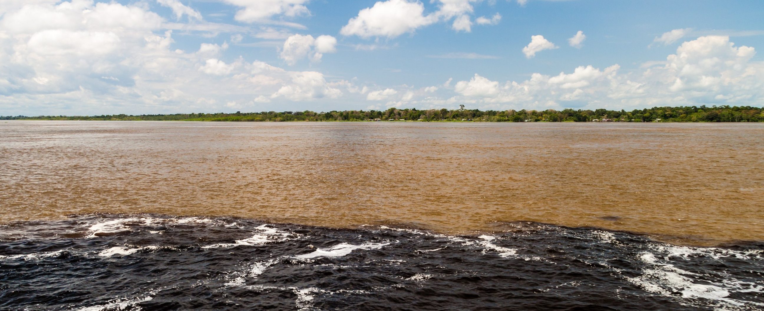 Amazone gros plan rencontre des eaux