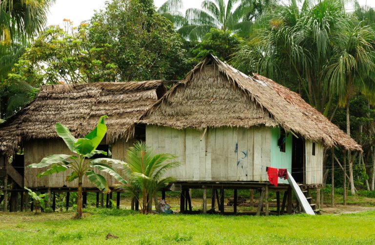 Amazonie communautés indiennes