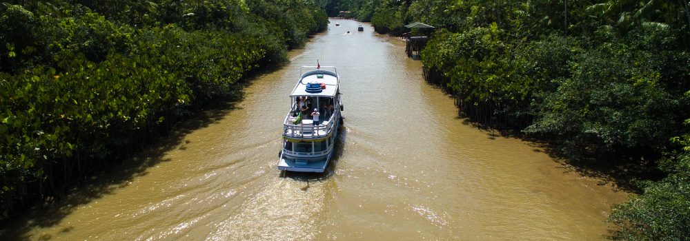 Amazonie croisière Bateau passant dans Igarape