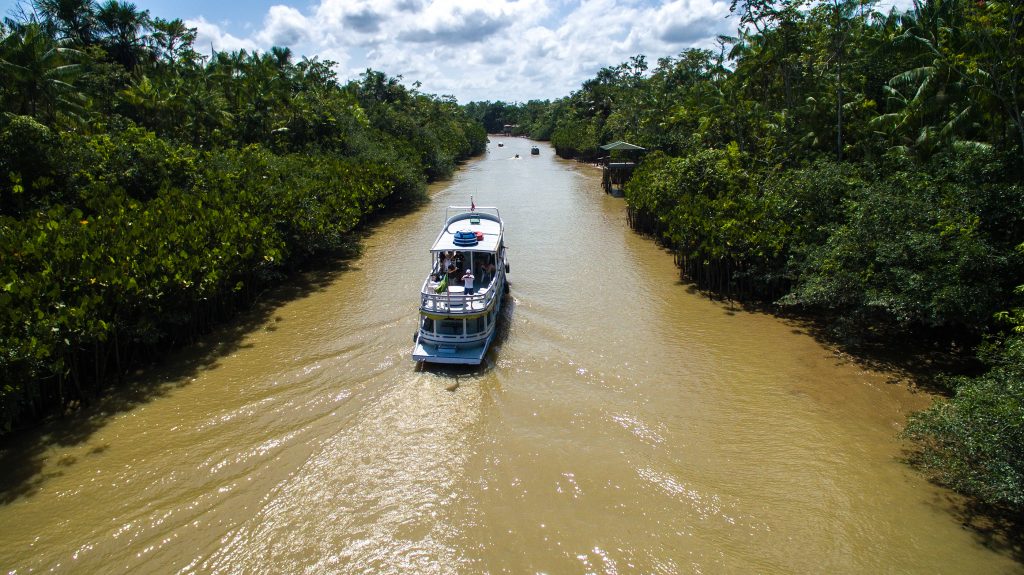 Amazonie croisière Bateau passant dans Igarape