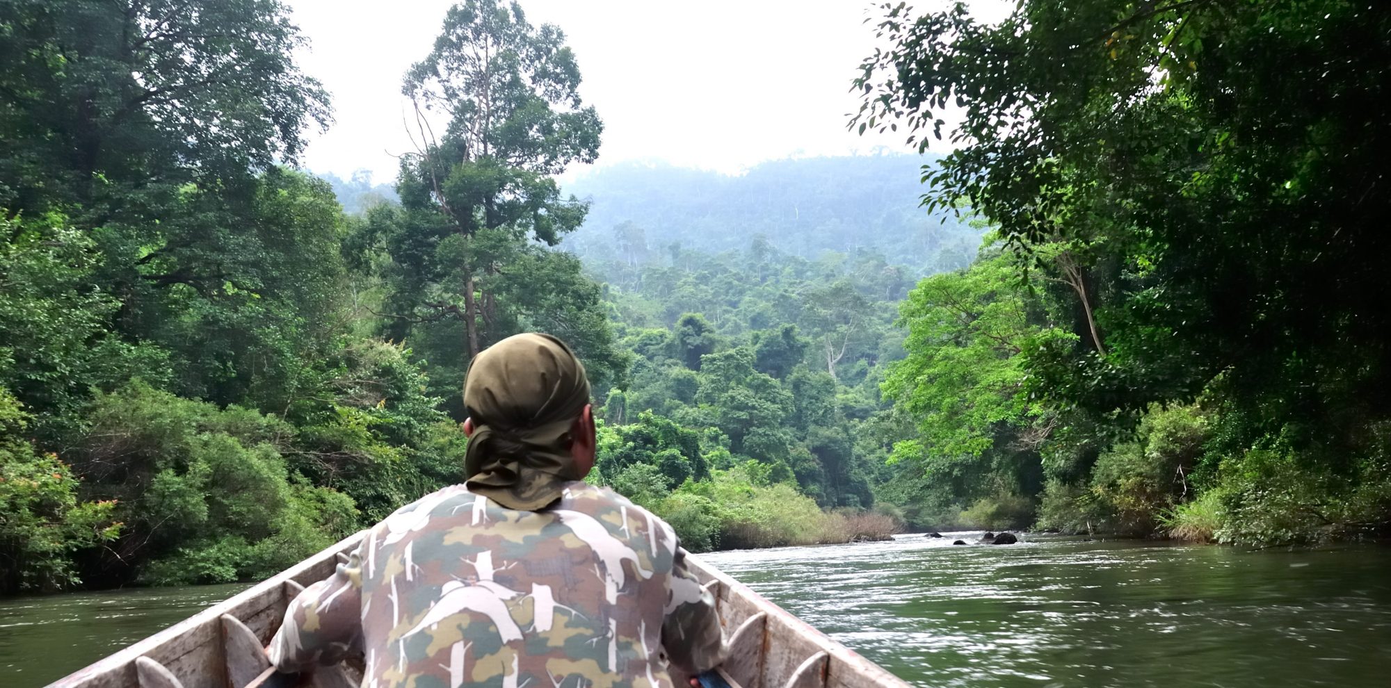 Amazonie en remontant la rivière