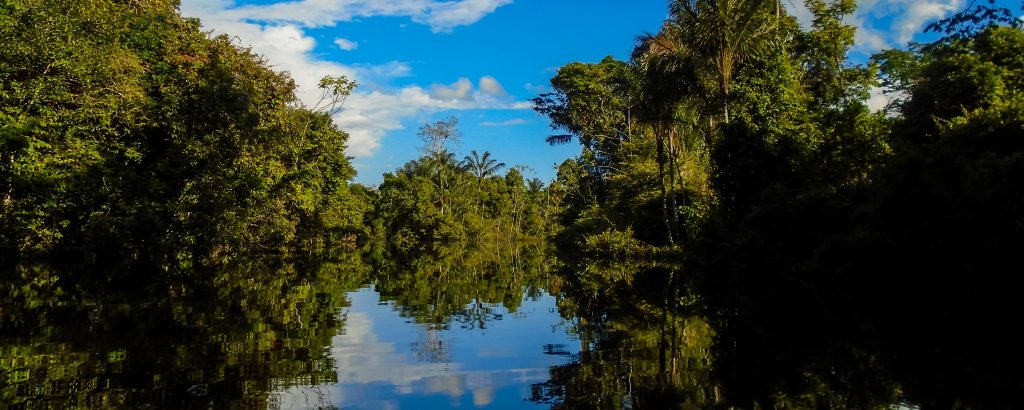 Amazonie Igarape mirroir