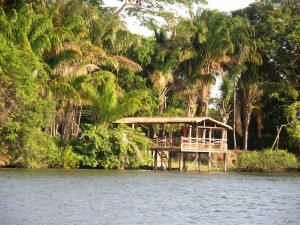 Amazonie île de Marajo