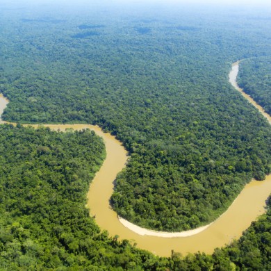 Amazonie les méandres du Rio Solimoes