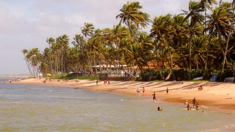 baignade à Praia do Forte