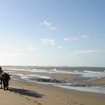 charette sur la plage nordeste