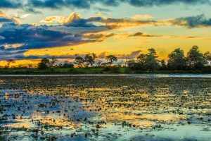 coucher de soleil sur Pantanal