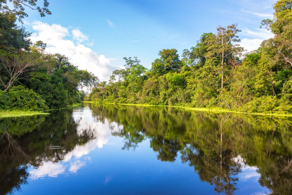 Croisière Amazonie