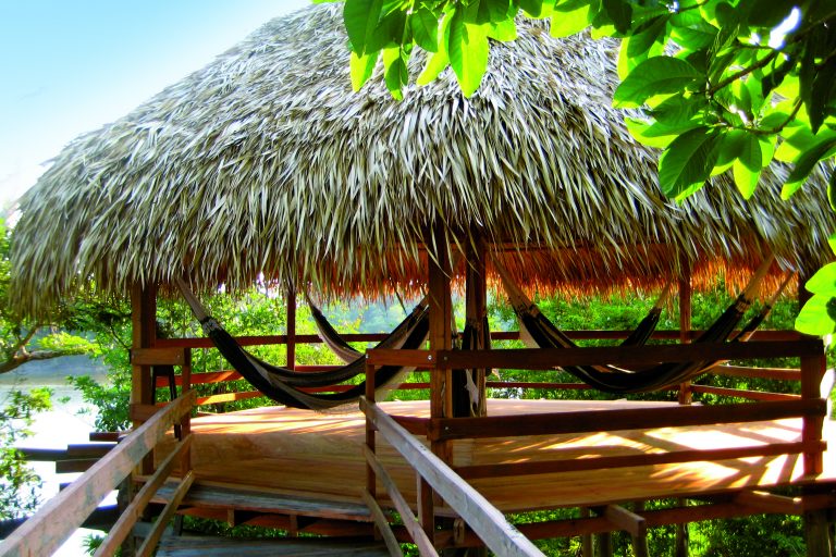 Hamacs sous paillote Juma lodge
