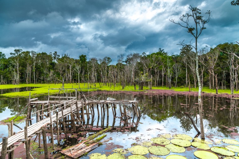 ponton lac  Pantanal