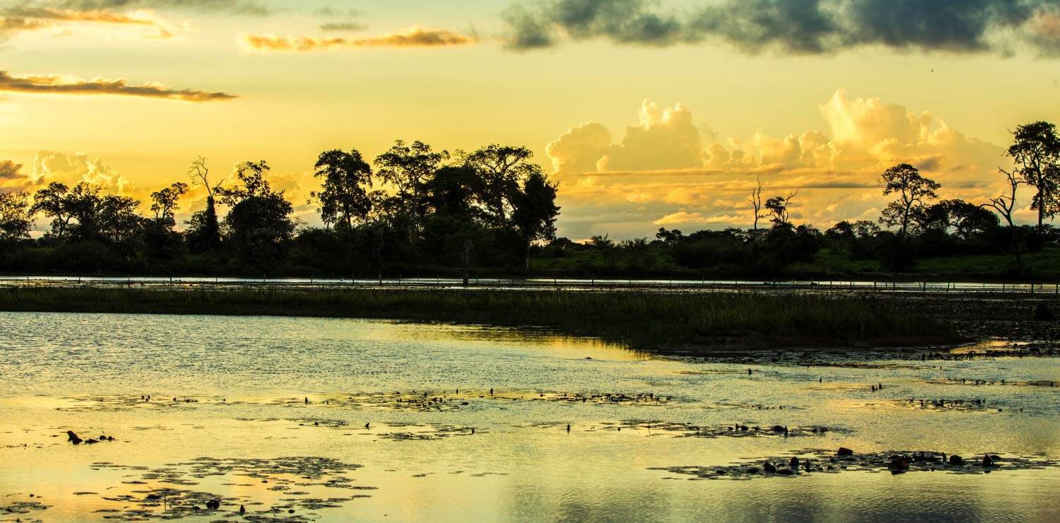 Pantanal coucher de soleil