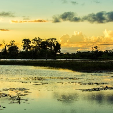 Pantanal coucher de soleil