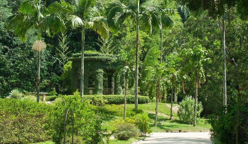 Jardin botanique Rio de Janeiro