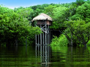 juma lodge cabanes