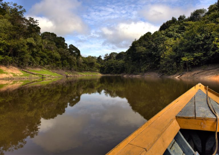 Amazonie découverte de la forêt en bateau