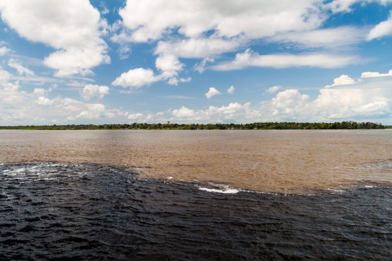 Amazonie écume créée par la rencontre des eaux