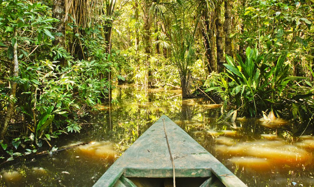 Amazonie excursion en bateau Igapo