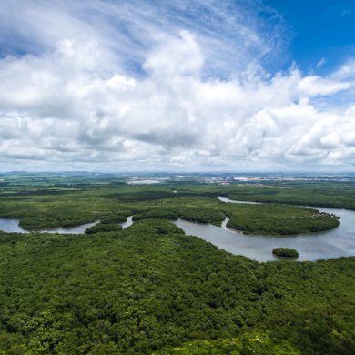 Amazonie méandres de l'archipel des Anavilhanas