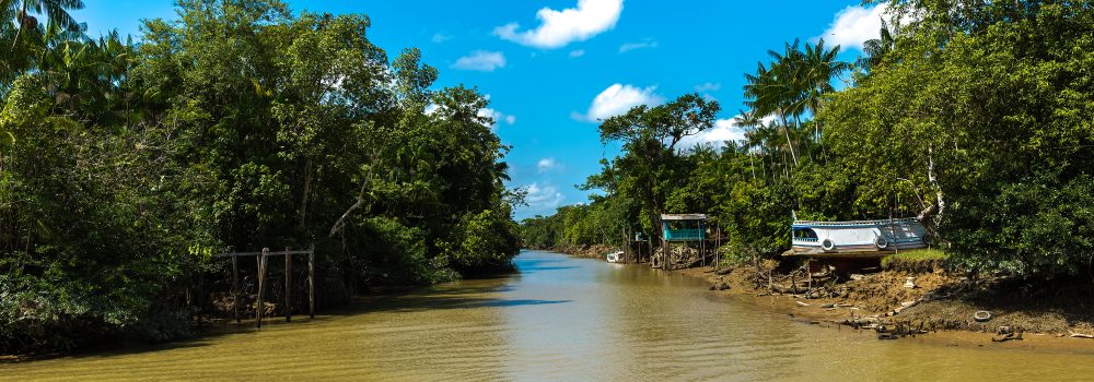 Amazonie remontée de l'Igarape à marée basse