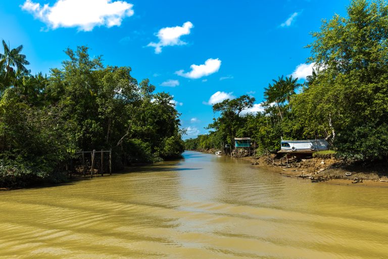 Amazonie remontée de l'Igarape à marée basse