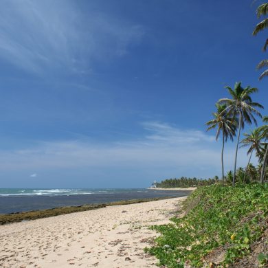 plage déserte Praia do Forte Bahia