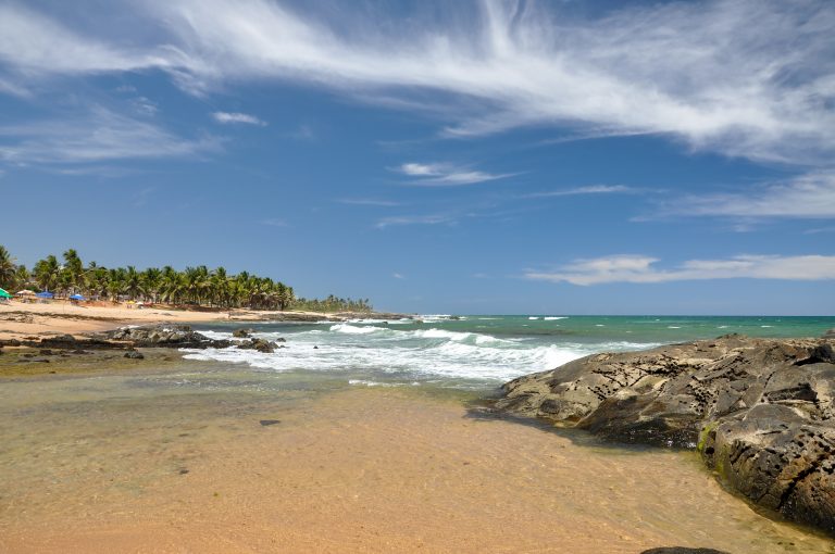 Praia do Forte Plage et cocotiers