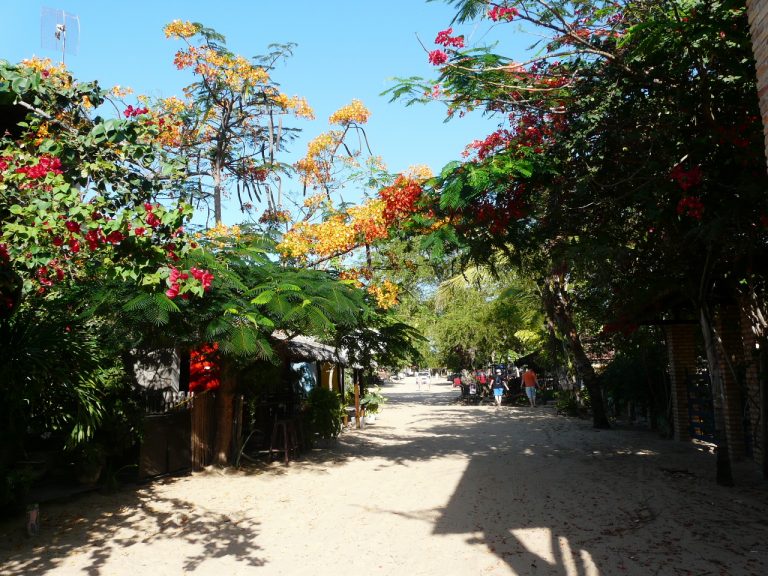 ruelles fleuries de jericoacoara