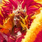 Carnaval de Rio magnifique costume