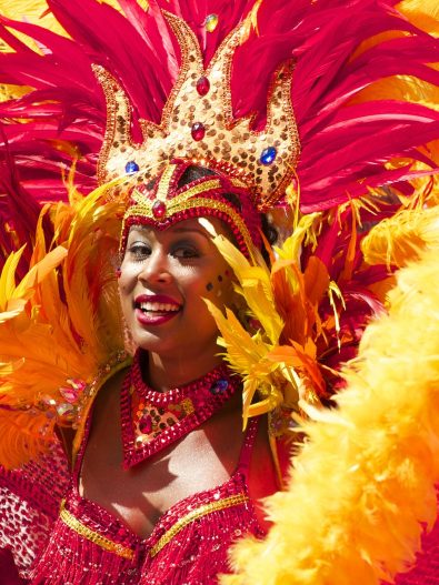 Carnaval de Rio magnifique costume