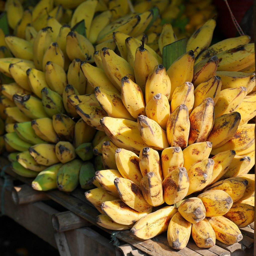 bananes-bresil