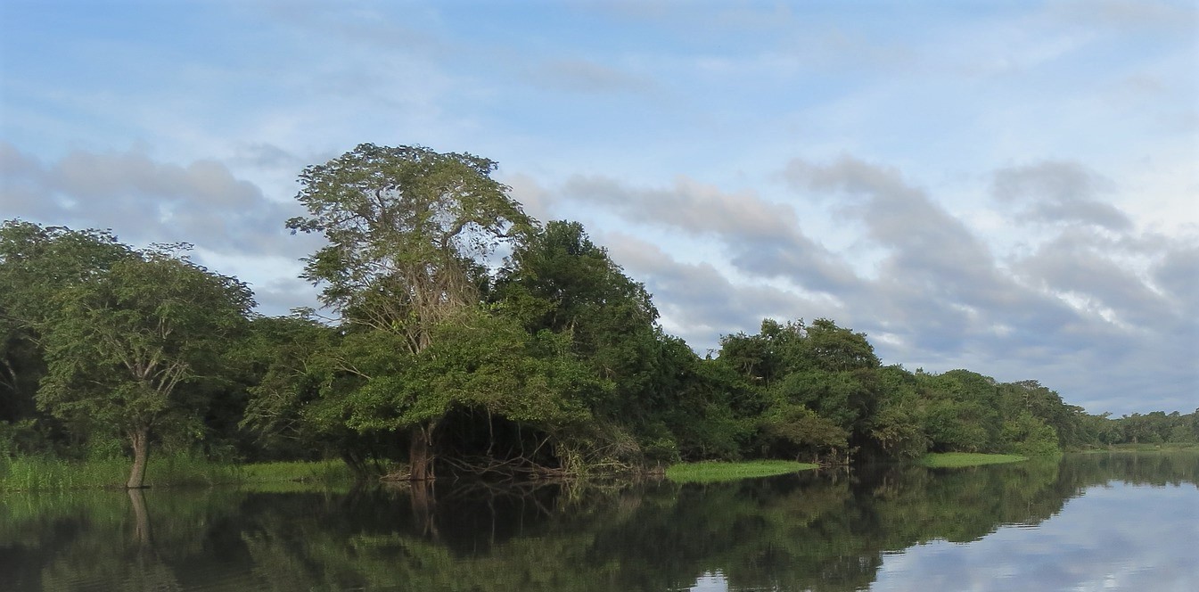 bord de rivière en amazonie