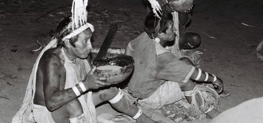 indiens assis au sol et buvant de l'ayahuasca.
