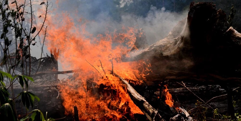Incendie en Amazonie Brésilienne.