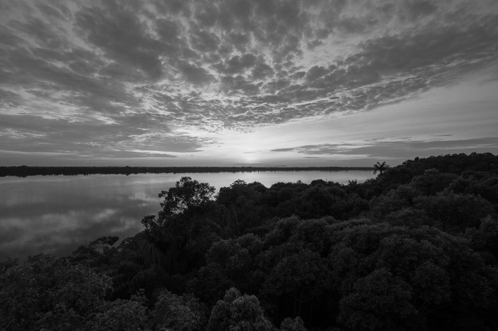 couchez de soleil sur le rio negro dans les Anavilhanas en Amazonie.