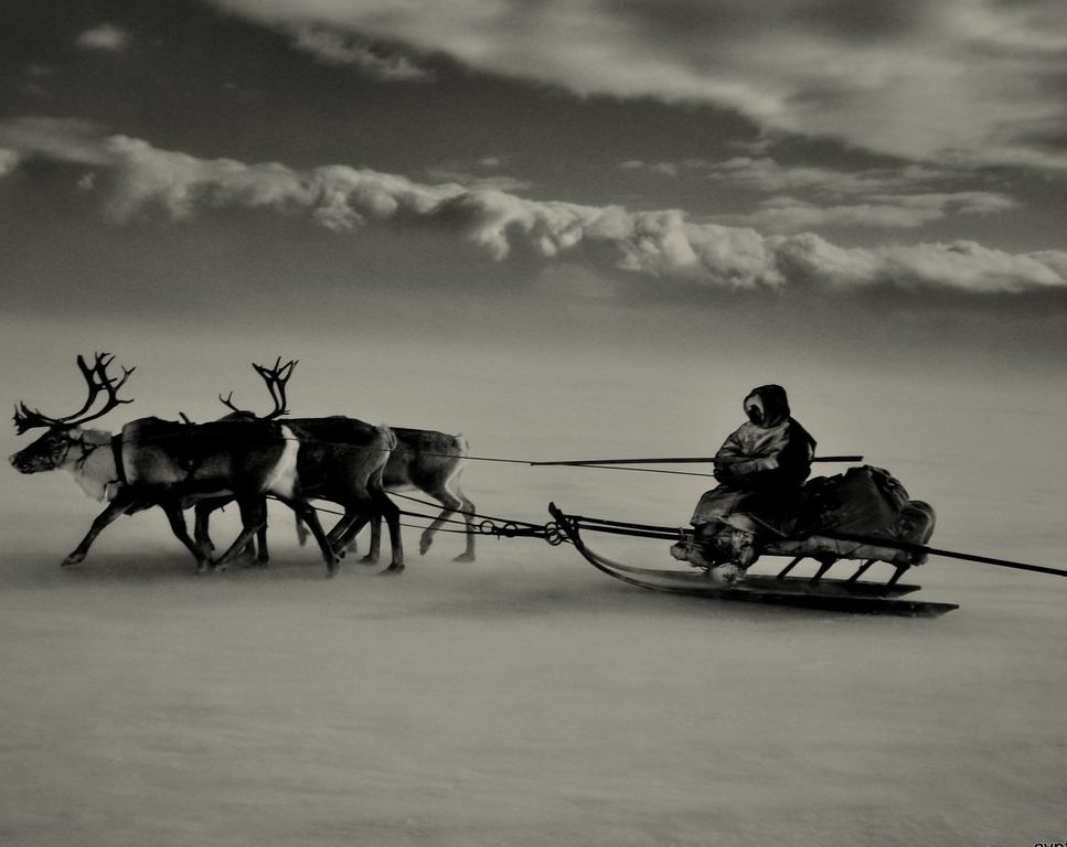 inuit sur son traîneau noir et blanc.