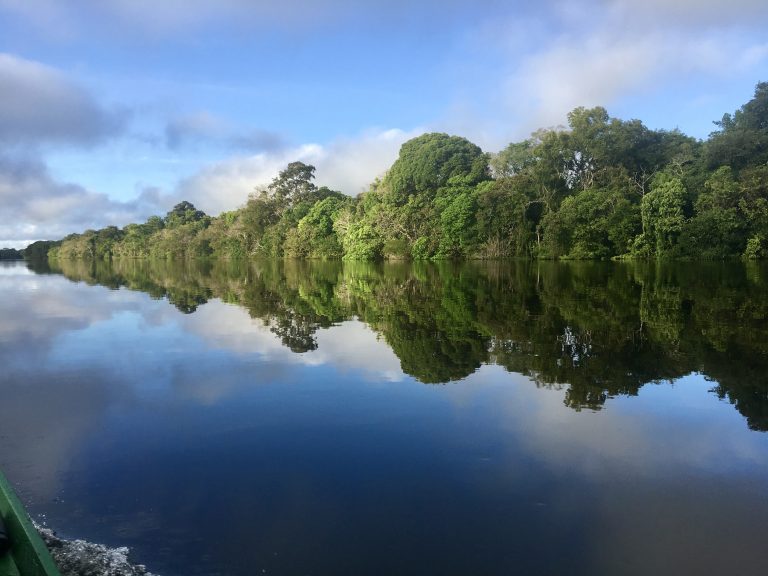 Vue d'une rivière de la réserve Mamiraua en Amazonie.