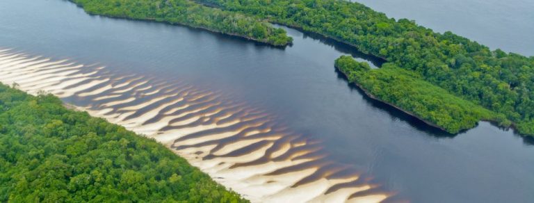 Vue du ciel d'une plage dans l'archipel des Anavilhanas au Brésil.