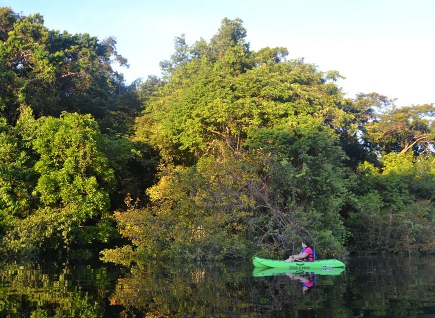 JEune fille naviguant en kayak dans un igapos en Amazonie.