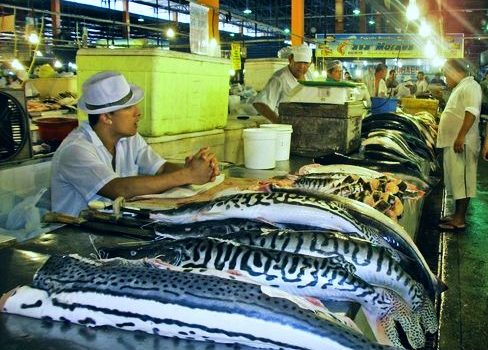 mercado dos peixes manaus