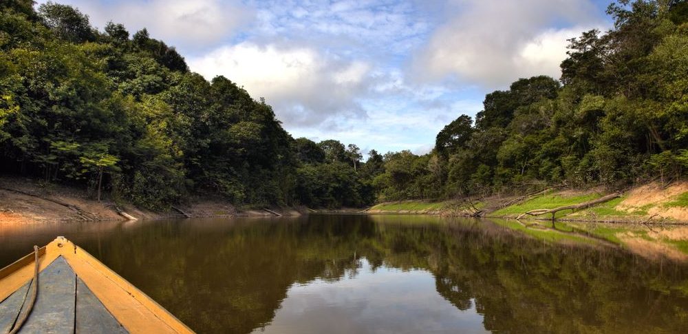 Vue de la pointe d'une embarcation sur un cours d'eau amazonien.