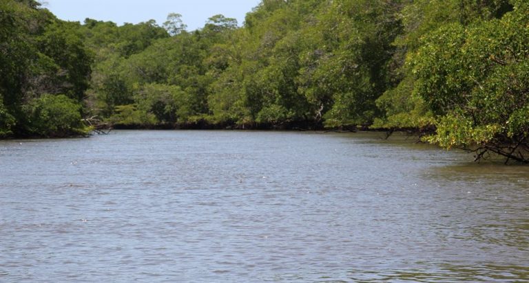 Vue d'un canal du delta de Parnaiba.