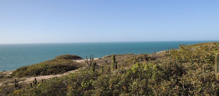 Vue sur l'océan depuis le haut des falaises à Jericoacoara.