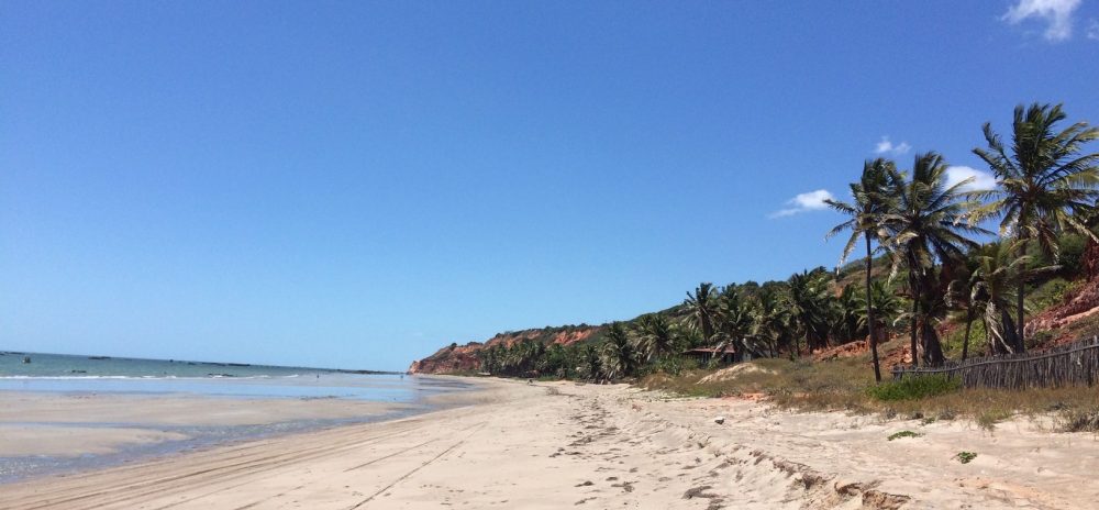 Vue dune plage entre Peroba et Icapui dans le Nordeste du Brésil.
