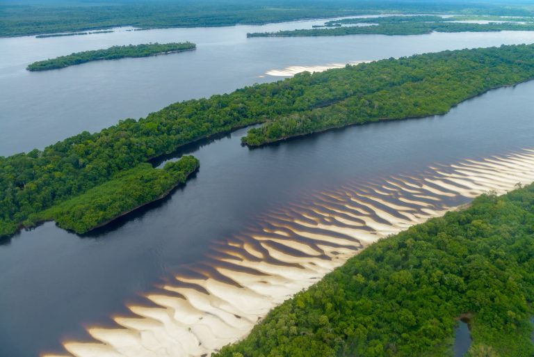 La rivière en Amazonie