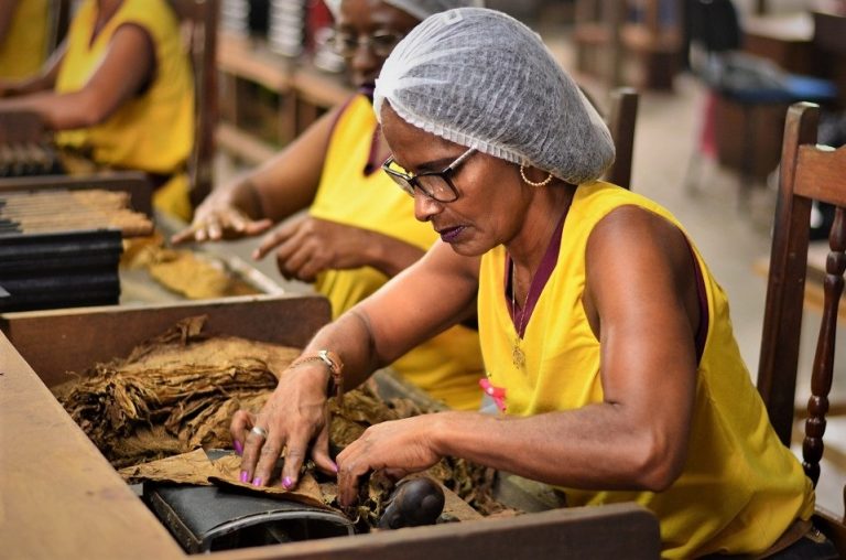 Femme roulant un cigare dans un atelier artisanal à Cachoeira au Brésil.