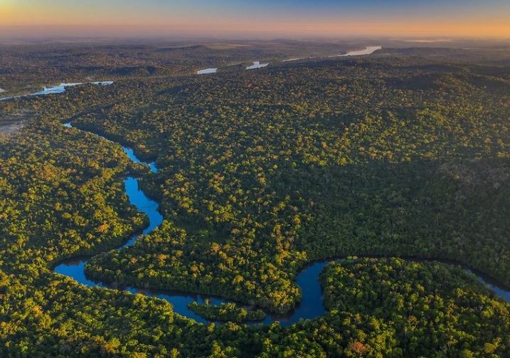 rivière dans la forêt amazonienne