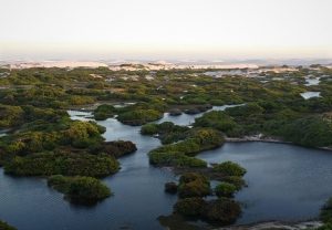 L'oasis à Queimada dos Britos dans le parc des lençois du Maranhão.