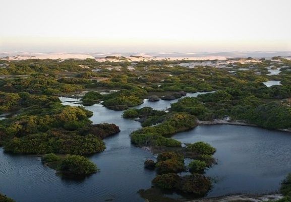 L'oasis à Queimada dos Britos dans le parc des lençois du Maranhão.