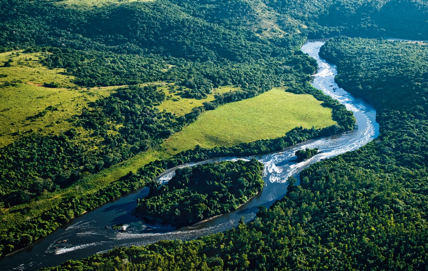 Une rivière dans la forêt atlantique.